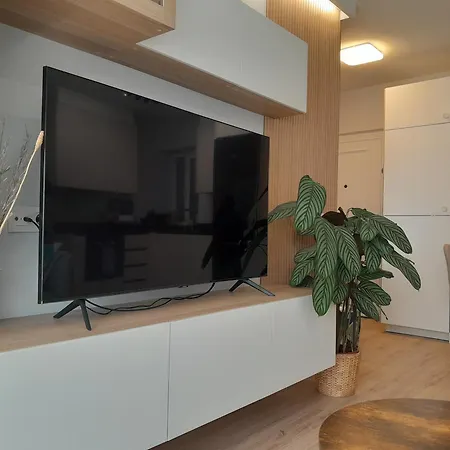 Calatea - Centrico, 2 Habitaciones, Wifi - Vut-5603-as * Oviedo